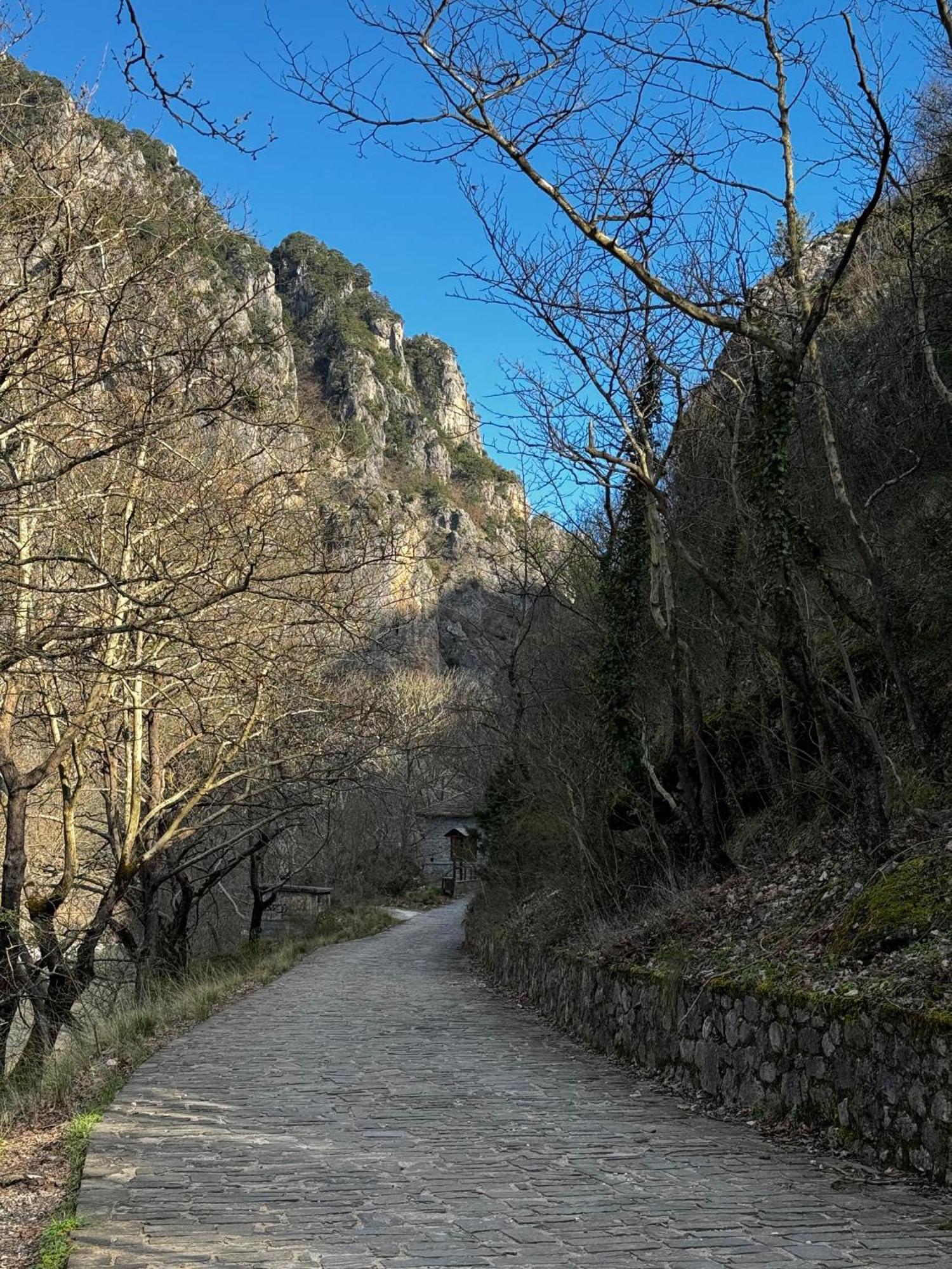Mountain Serenity Konitsa Exteriör bild
